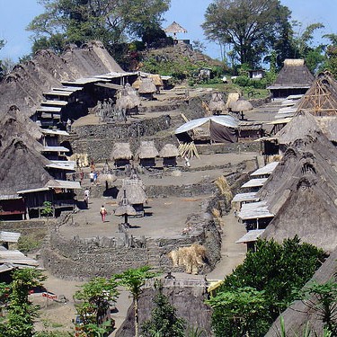 FTO Indonesia- Flores Washed