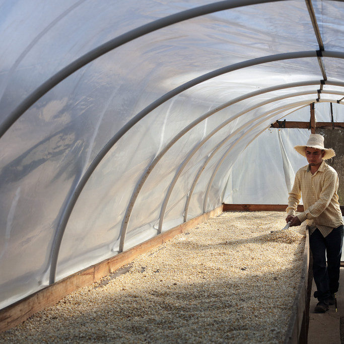 Colombia- Excelso Washed