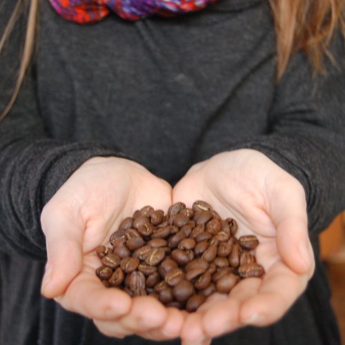 Cool Beans House Blend